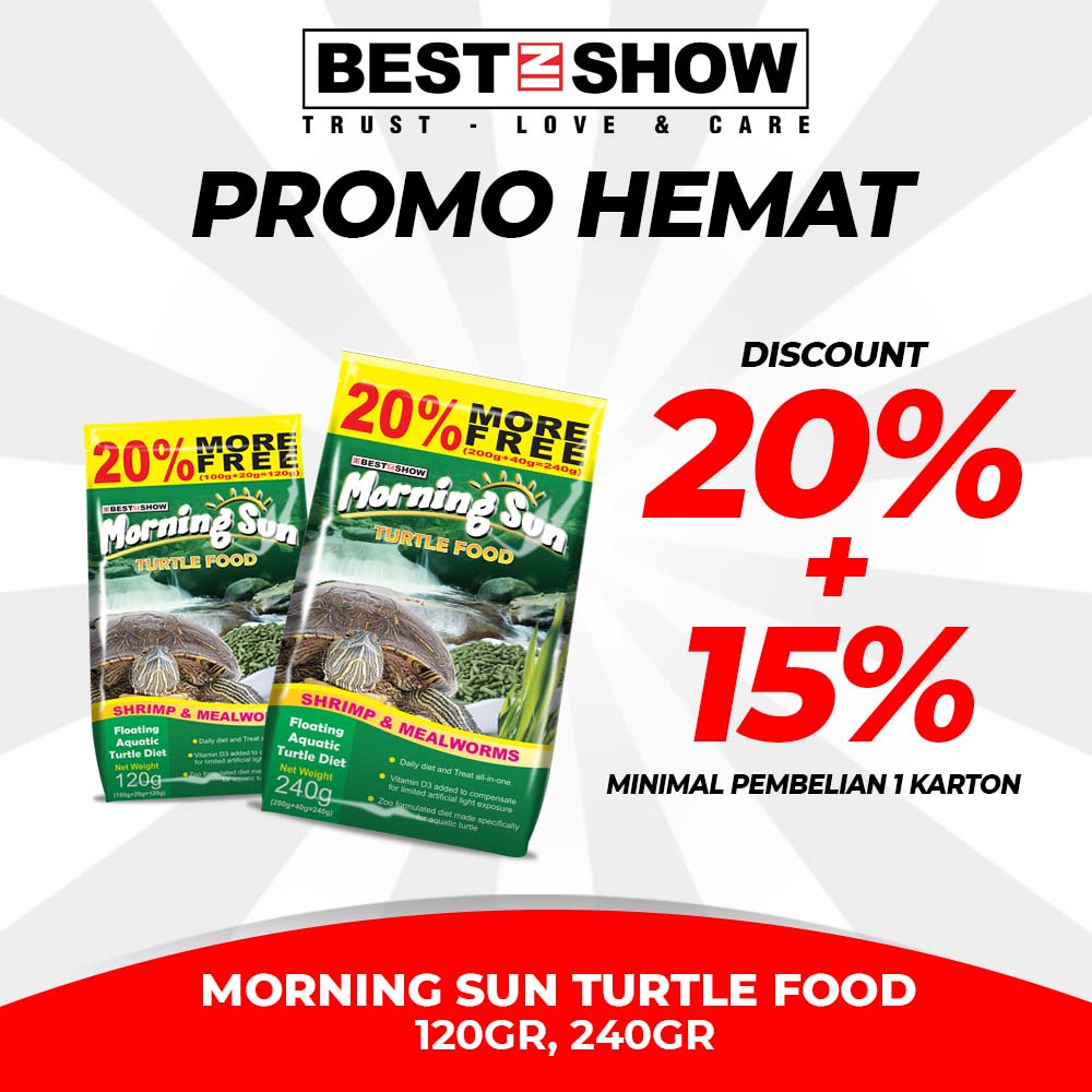 Paket HEMAT Morning Sun Turtle 240gr ( Harga per 1 Karton )